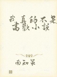 我真的不是重生 高欢小说