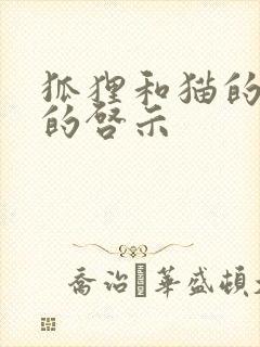 狐狸和猫的故事的启示