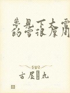 梦见下大雪地上的雪很厚周公解梦