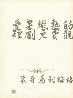 爱是炽热的秘密短剧免费观看全集高清