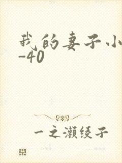 我的妻子小谨1-40