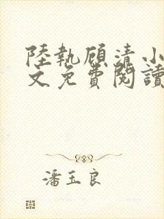 陆执顾清小说全文免费阅读