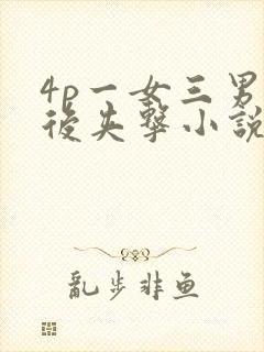 4p一女三男前后夹击小说封面