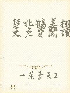 楚北鹤姜栩栩全文免费阅读笔趣阁