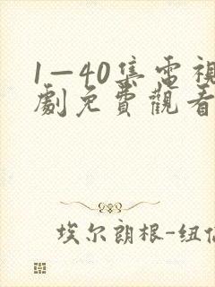 1—40集电视剧免费观看29集