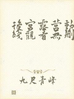 后宫露营动漫在线观看无删减