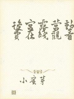 后宫露营动漫免费在线观看