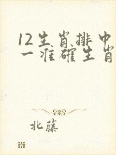 12生肖排中打一准确生肖