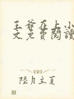 王爷在上小说全文免费阅读