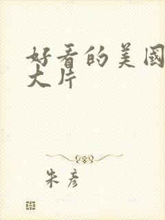 好看的美国战争大片