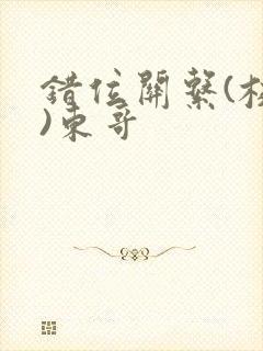 错位关系(校园)东哥