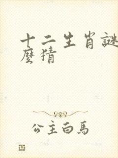 十二生肖谜语怎么猜