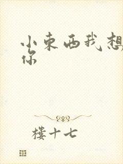 小东西我想弄坏你封面