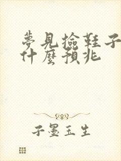 梦见捡鞋子穿是什么预兆