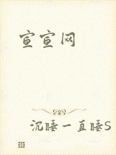 宣宣网
