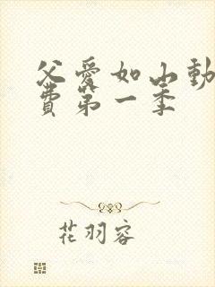 父爱如山动漫免费第一季