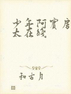 少年阿宾房东太太在线