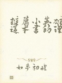 推荐小英雄雨来这本书的理由50字封面