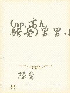 (np,高h,骚受)男男小说