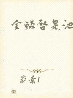 金鳞启是池中物封面