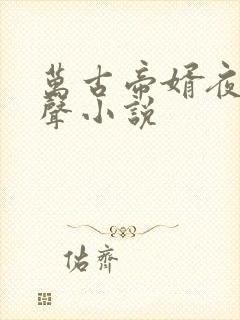 万古帝婿夜玄有声小说