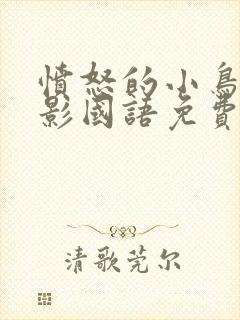 愤怒的小鸟大电影国语免费观看