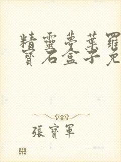 精灵梦叶罗丽之宝石盒子免费观看封面