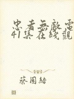 忠者无敌电视剧41集在线观看免费封面