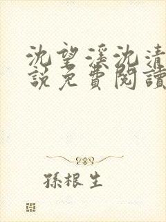 沈望溪沈清若小说免费阅读最新章节封面