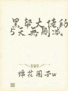 黑帮大佬的365天无删减