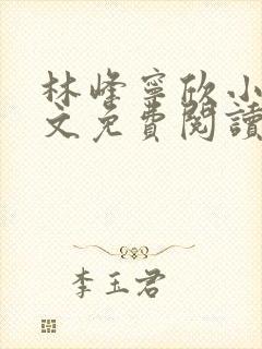 林峰宁欣小说全文免费阅读最新章节晚安阁