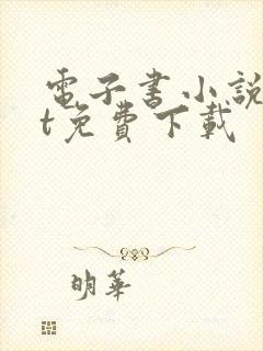 电子书小说txt免费下载