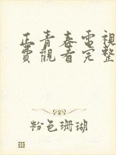 正青春电视剧免费观看完整版高清