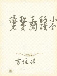 摄政王的小闲妻免费阅读全文