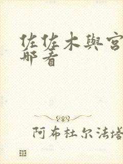 佐佐木与宫野在哪看