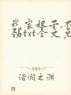 我家娘子,不对劲txt全文免费阅读封面