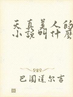 天真美人的雌堕小说叫什么名字