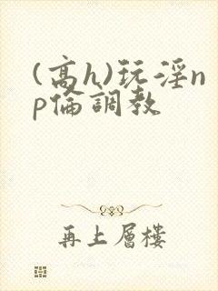 (高h)玩淫np伦调教