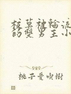 校草被轮流欺负的双男主小说