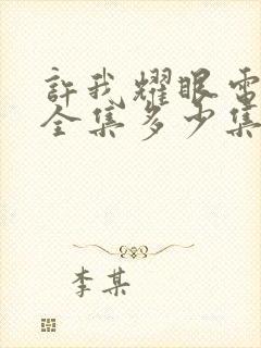 许我耀眼电视剧全集多少集啊