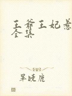 王爷王妃惹不得全集