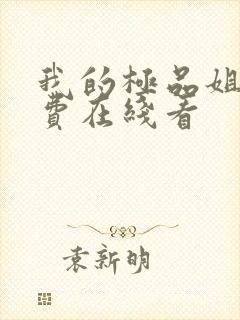 我的极品姐姐免费在线看封面