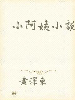 小阿姨小说封面