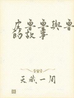 皮鲁鲁与鲁西西的故事