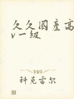 久久国产高清av一级