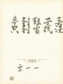 梦到鞋子丢了一只到处找没找到封面