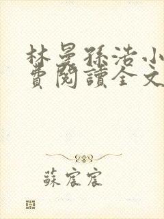 林曼孙浩小说免费阅读全文最新章节