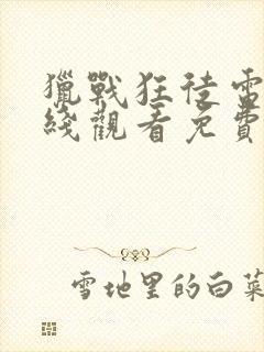 猎战狂徒电影在线观看免费