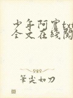 少年阿宾txt全文在线阅读