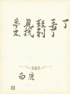 梦见鞋丢了一只又找到了封面